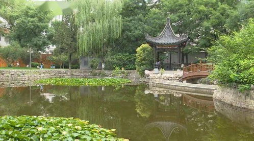 秦州区园林建设服务中心 提高园林管护质量 为创城添色增彩