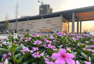 怀宁 东南新区 建设初具规模,未来将是连接高铁新城的重要通道