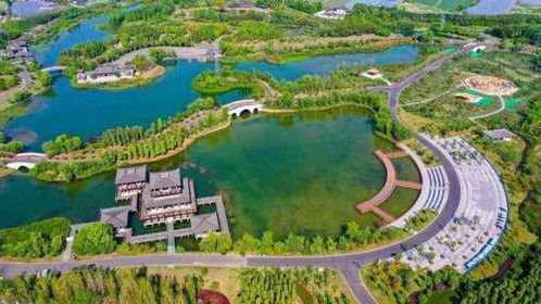 美的新城 公园天下丨实力正当红,解码公园洋房的热销密码